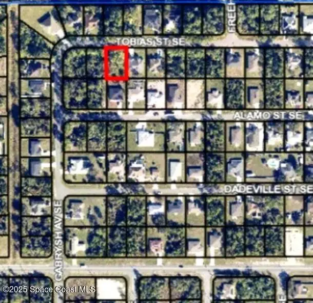 336 Tobias Street Se, Palm Bay, Fl 32909, FL