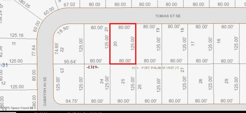 336 Tobias Street Se, Palm Bay, Fl 32909, FL