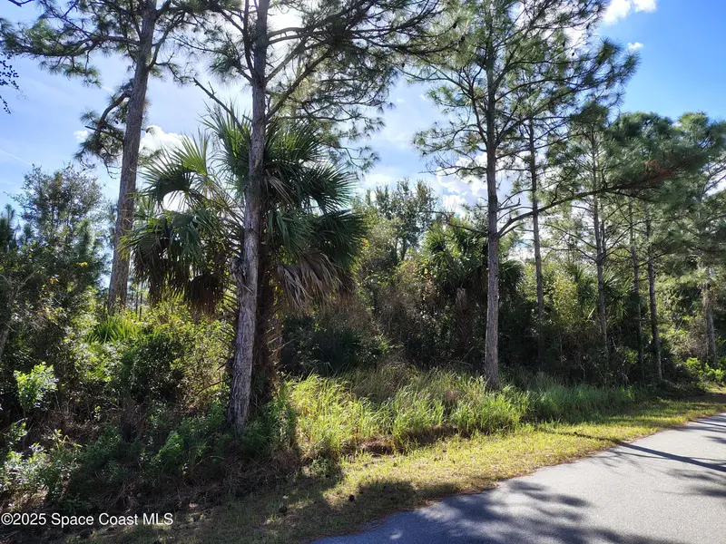 826 Wheatley Street Se, Palm Bay, Fl 32909, FL