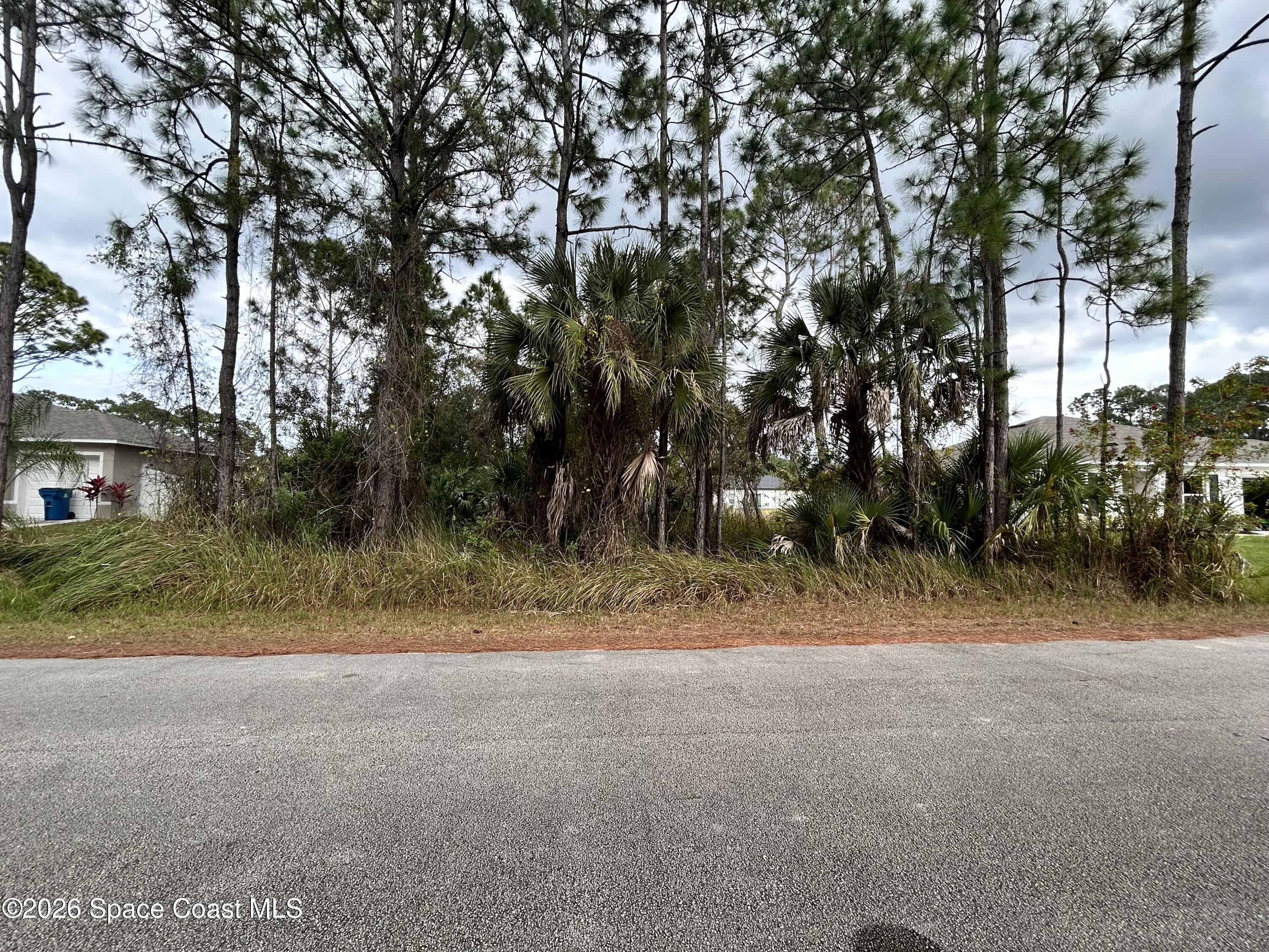843 Natroma Avenue Sw, Palm Bay, Fl 32908, FL