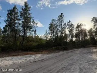 880 Still Road, Pierson, Fl 32180, FL