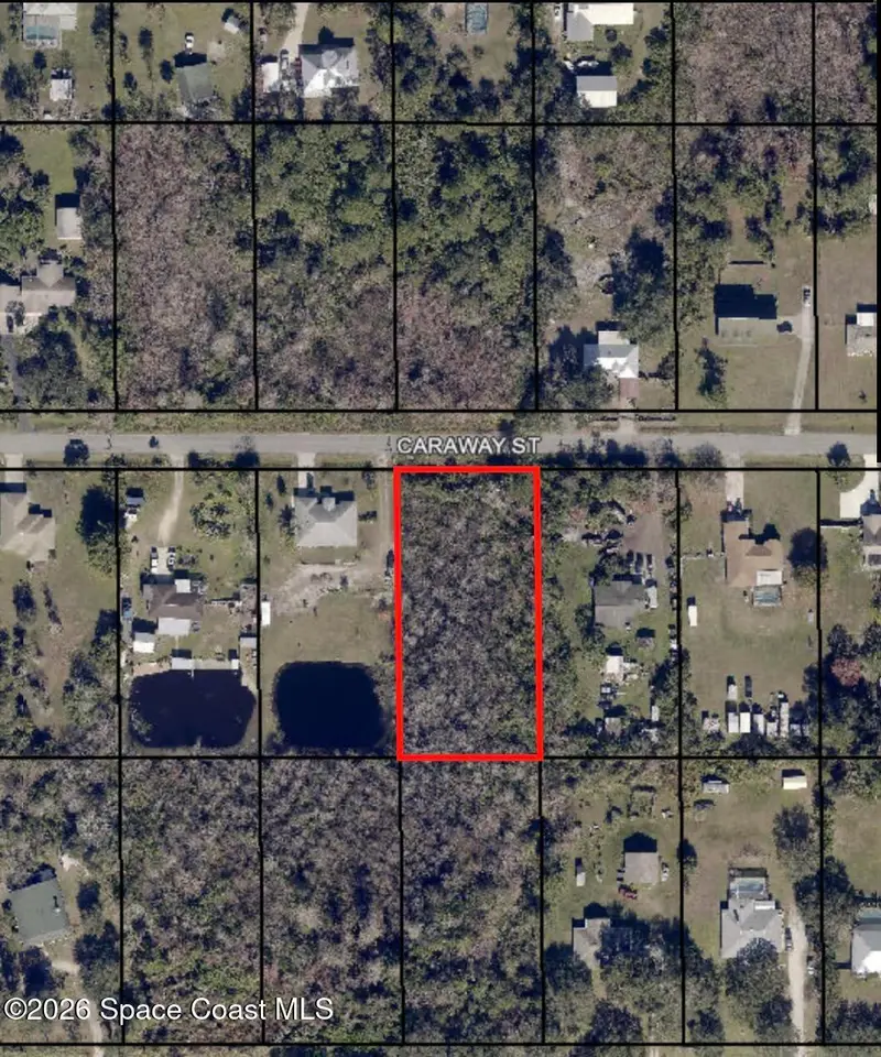 3331 Caraway Street, Cocoa, Fl 32926, FL