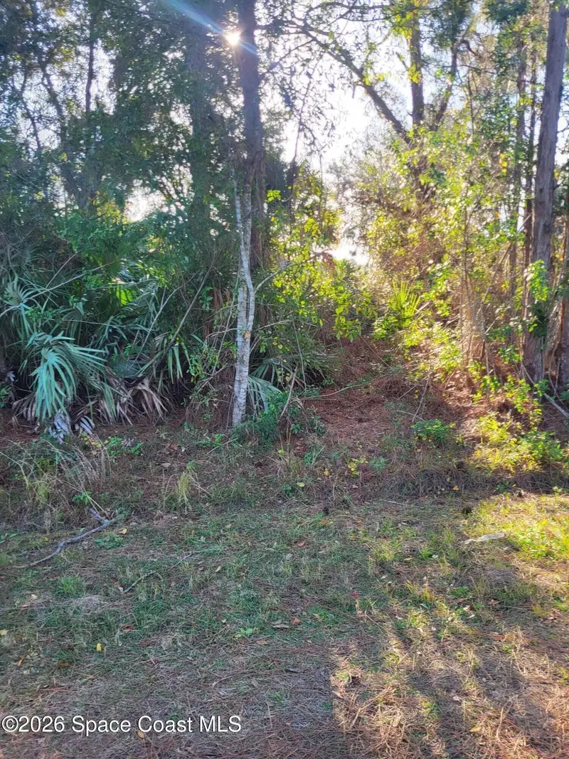 2682 Tennyson Avenue Se, Palm Bay, Fl 32909, FL