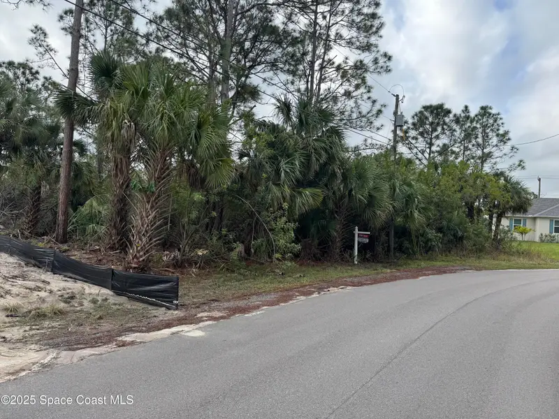 3395 Sw Fitzpatrick Avenue Sw, Palm Bay, Fl 32908, FL