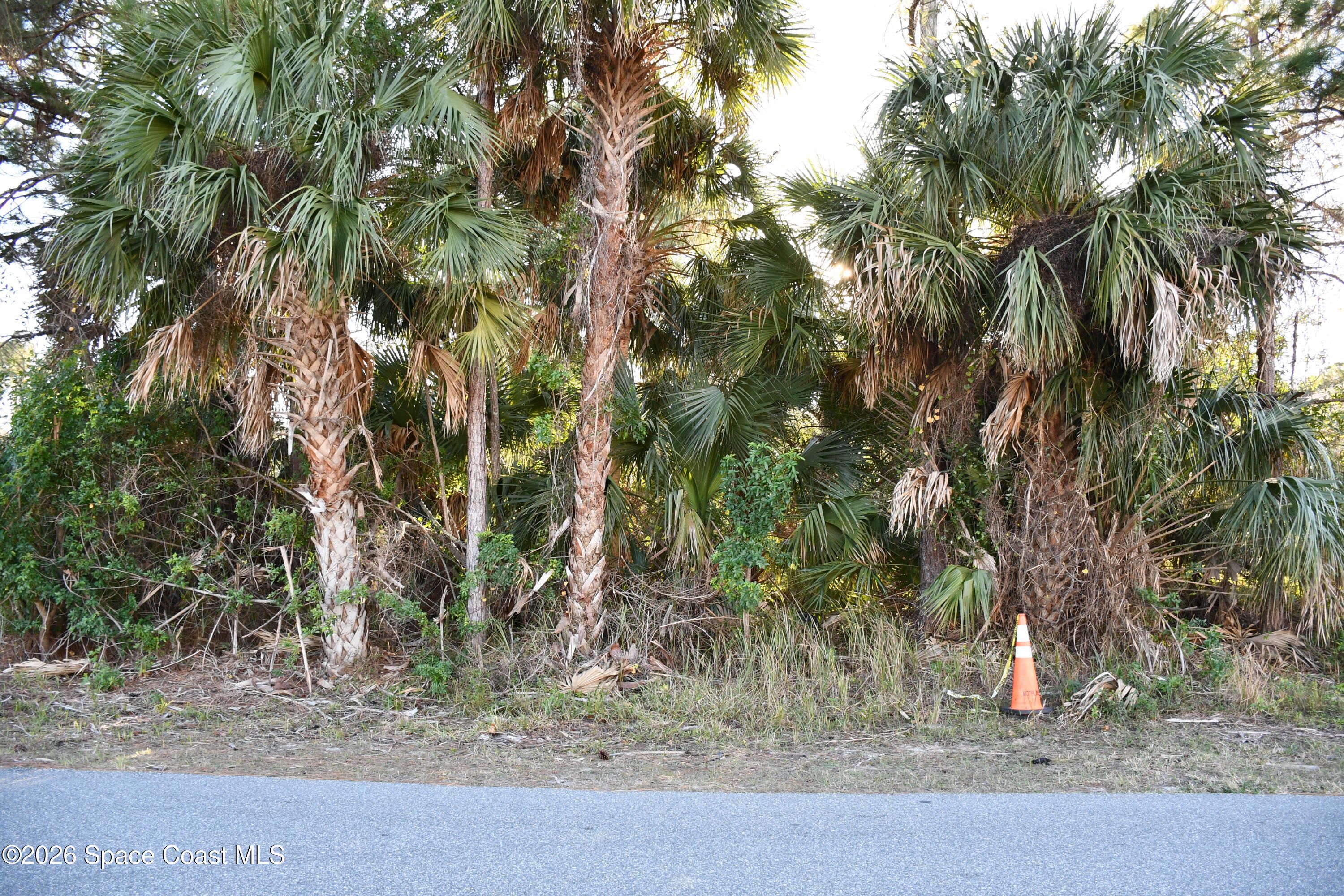 2658 Tepee Avenue Se, Palm Bay, Fl 32909, FL