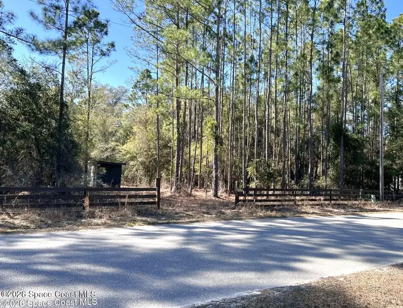 181 Lakeway Drive, Georgetown, Fl 32139, FL