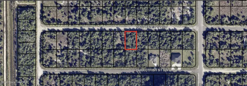 842 Saltwater Street Sw, Palm Bay, Fl 32908, FL