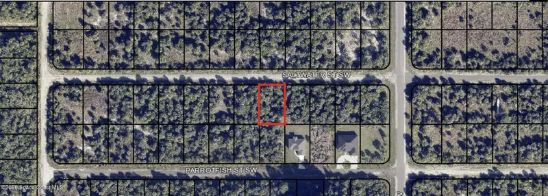 834 Saltwater Street Sw, Palm Bay, Fl 32908, FL