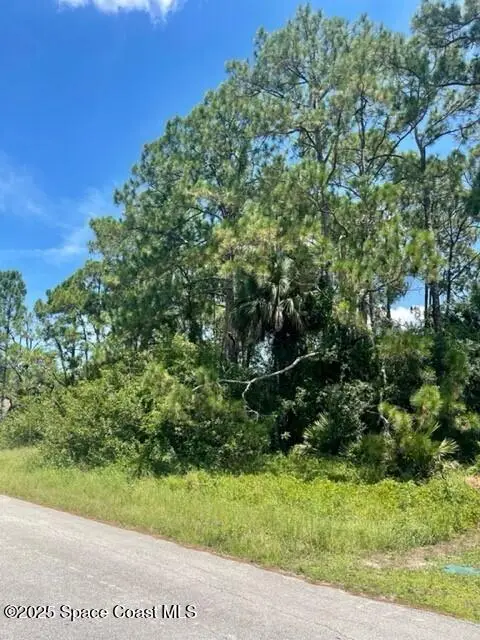 171 Shalimar Avenue Nw, Palm Bay, Fl 32907, FL