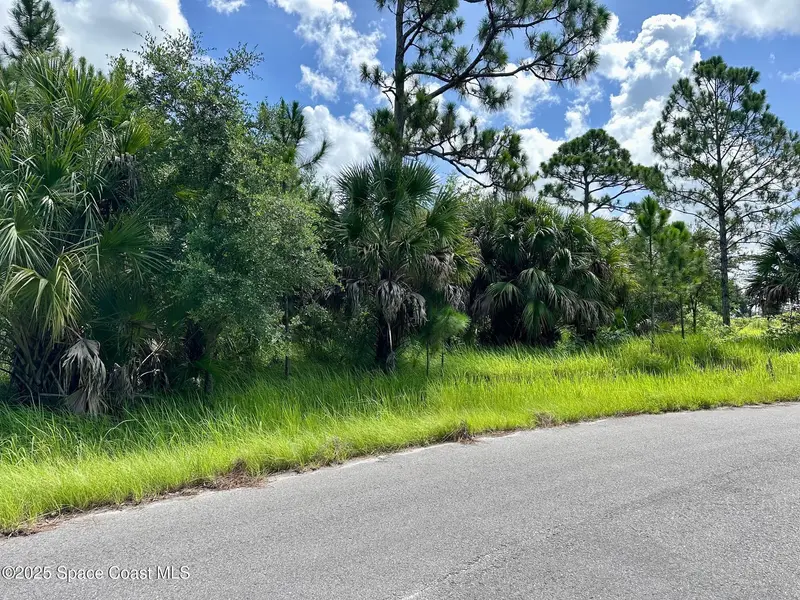 101 Lafleur Street Sw, Palm Bay, Fl 32908, FL