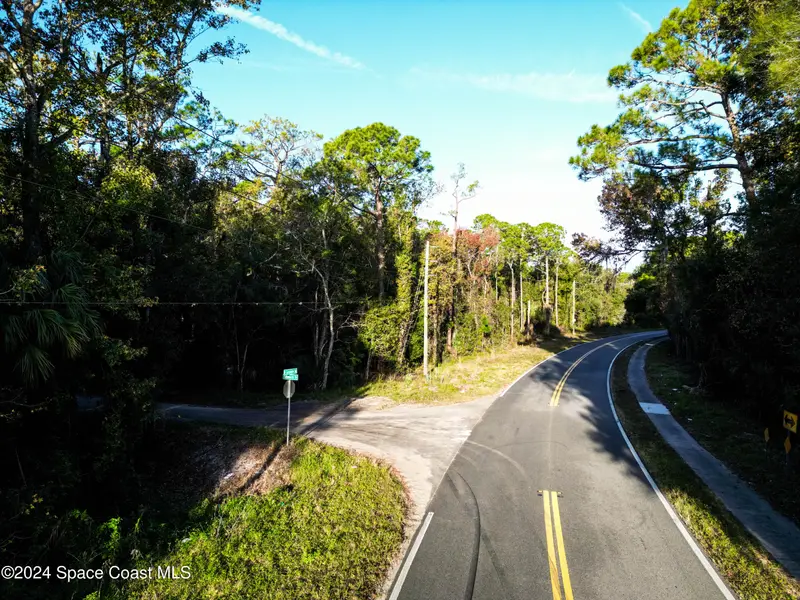 0000 Hammock Trail, Mims, Fl 32754, FL