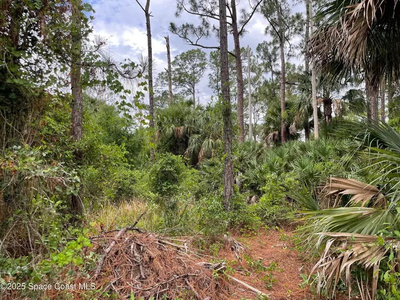662 Sanford Street Sw, Palm Bay, Fl 32908, FL
