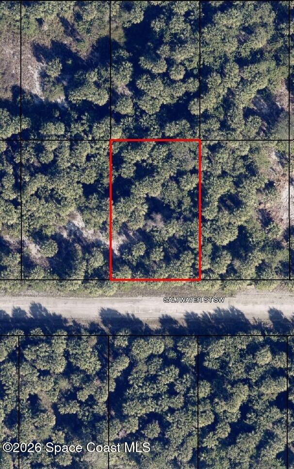 827 Saltwater Street Sw, Palm Bay, Fl 32908, FL