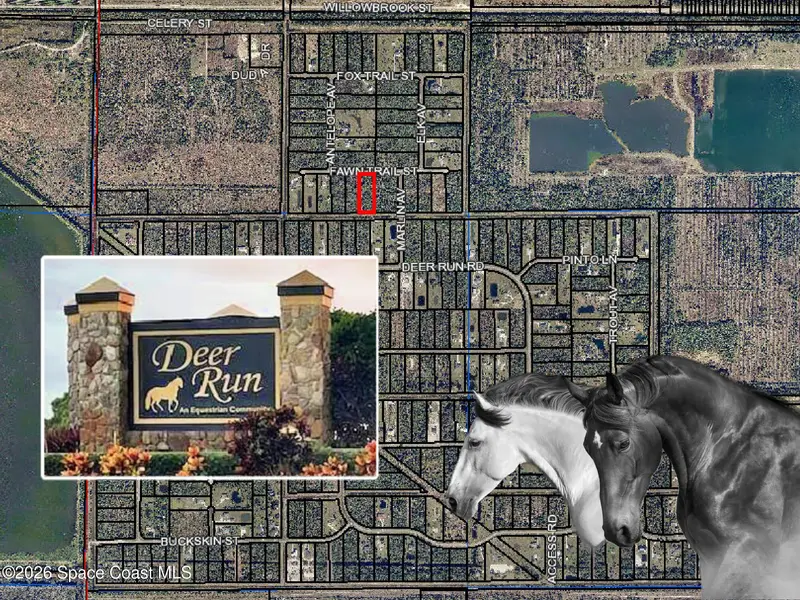 325 Fawn Trail Street, Palm Bay, Fl 32909, FL