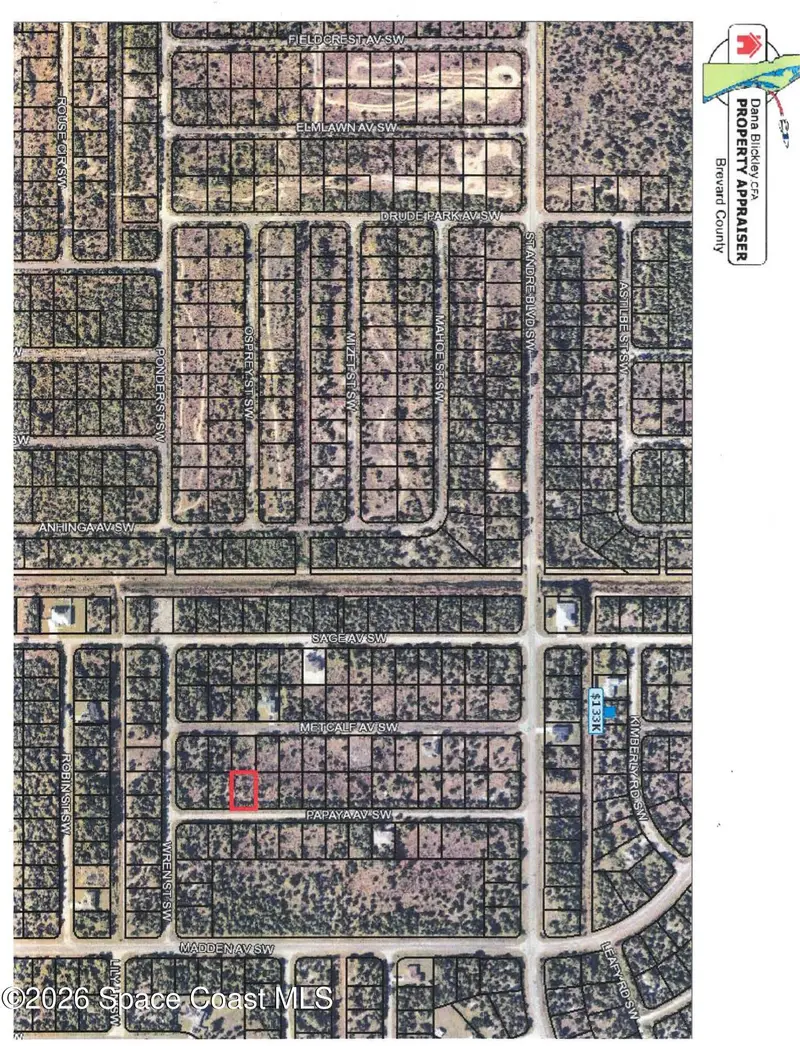 3182 Papaya Avenue Sw, Palm Bay, Fl 32908, FL