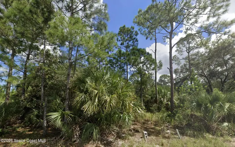 3081 Tinley Road Se, Palm Bay, Fl 32909, FL