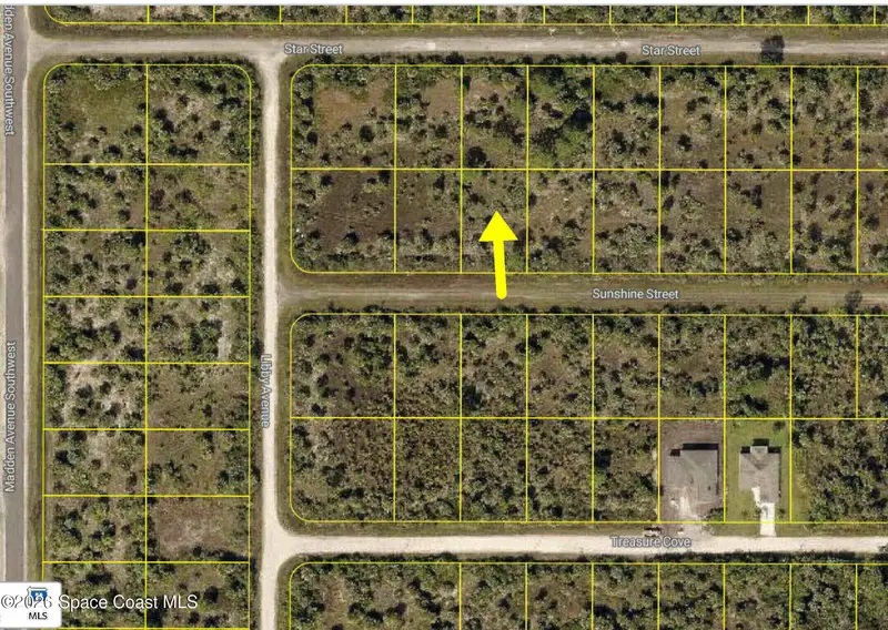 769 Sunshine Street, Palm Bay, Fl 32908, FL