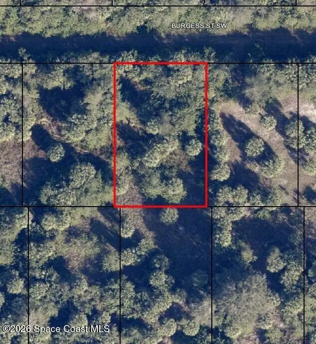 734 Burgess Street Sw, Palm Bay, Fl 32908, FL