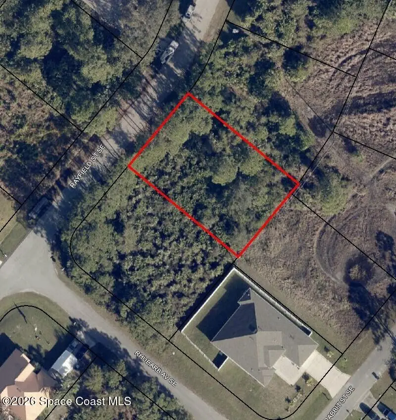 1260 Rayfield Street Se, Palm Bay, Fl 32909, FL