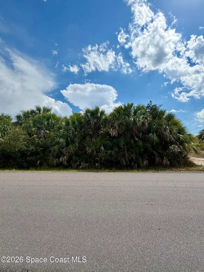 318 Lagoon Street Sw, Palm Bay, Fl 32908, FL