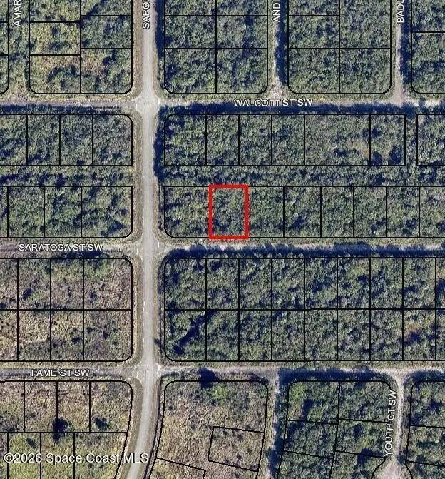 985 Saratoga Street Sw, Palm Bay, Fl 32908, FL