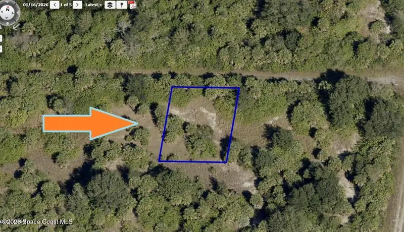 718 Burgess Street Sw, Palm Bay, Fl 32908, FL