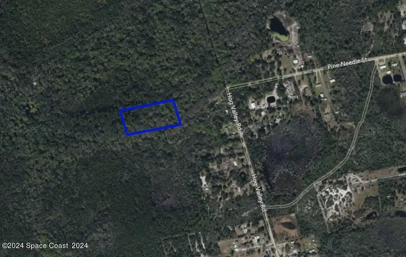 Xxx Pine Needle Street, Mims, Fl 32754, FL