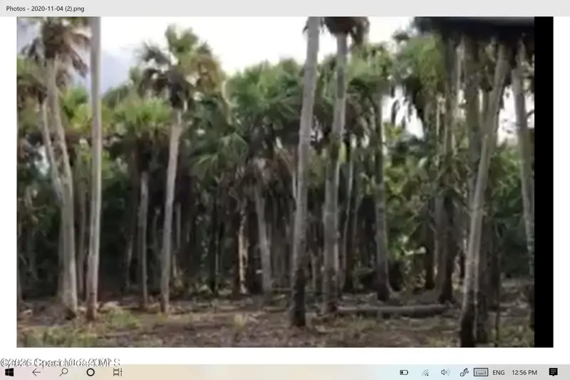O00 E Unknown, Merritt Island, Fl 32953, FL
