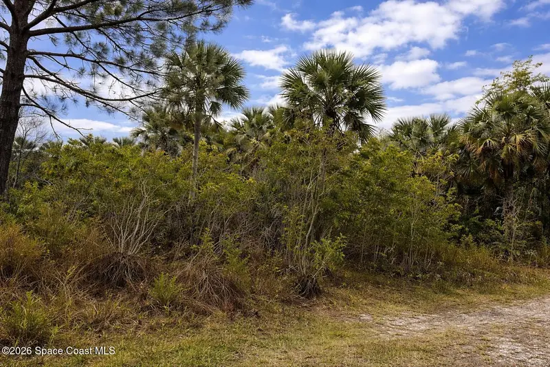 2041 Day Avenue Sw, Palm Bay, Fl 32908, FL