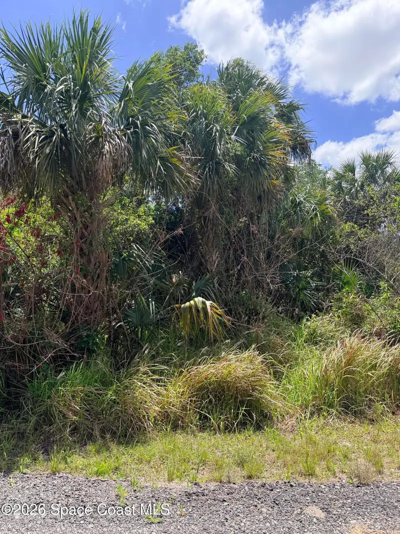 708 Parrotfish Street Sw, Palm Bay, Fl 32908, FL