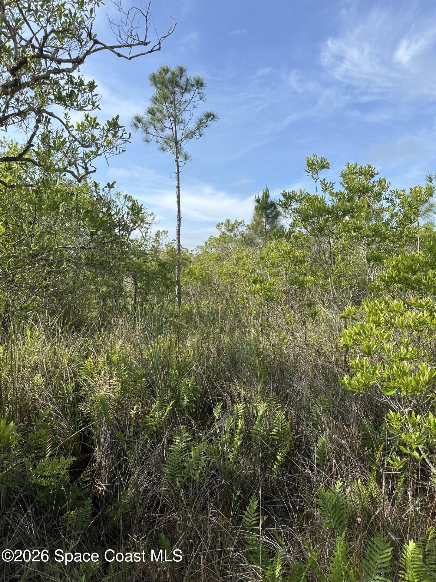 0 Jason Ave Avenue, FL
