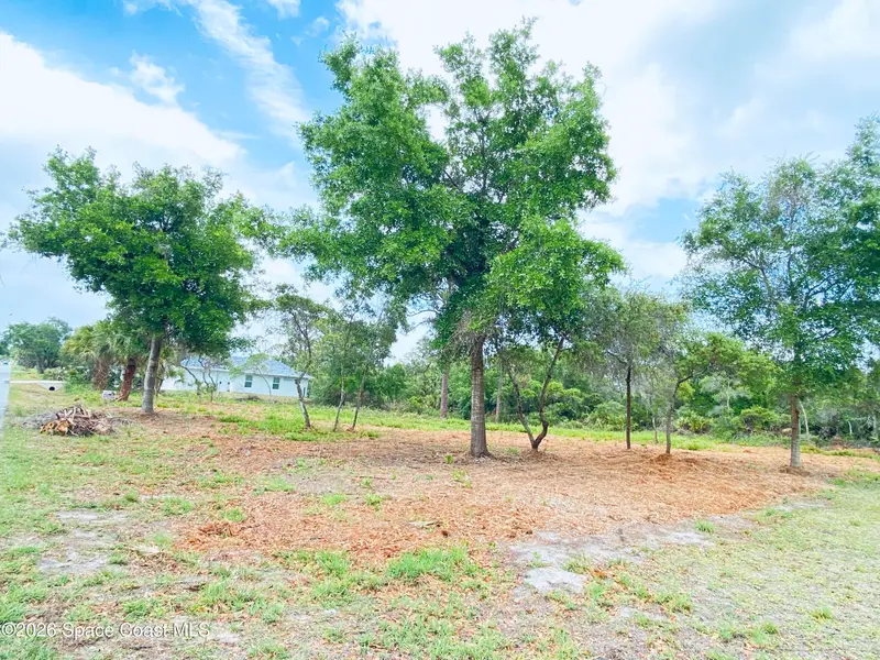 9737 Honeysuckle Drive, Micco, Fl 32976, FL