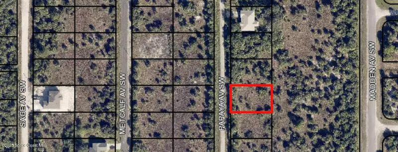 3159 Papaya Avenue, Palm Bay, Fl 32909, FL