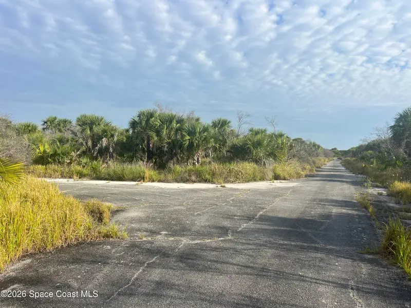 Tbd Crnr Maphisto & Montecito St Avenue Sw, Palm Bay, Fl 32908, FL