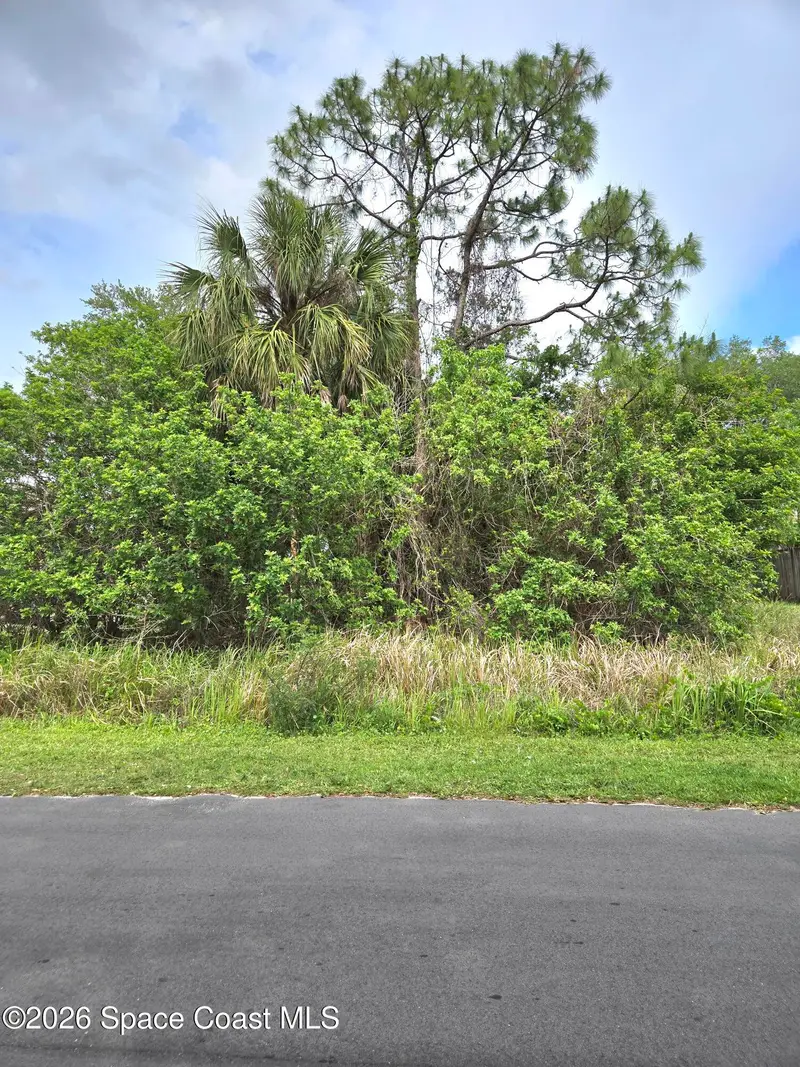 697 Scotten Avenue Sw, Palm Bay, Fl 32908, FL