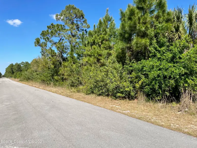 1711 Olympia Avenue Sw, Palm Bay, Fl 32908, FL