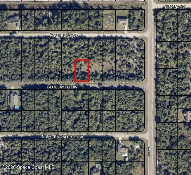 839 Bluejay Street Sw, Palm Bay, Fl 32908, FL