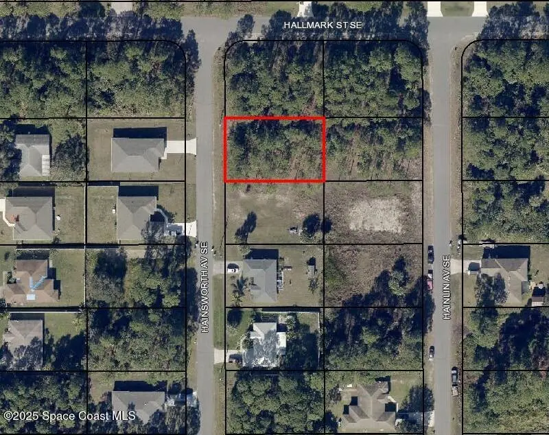 3207 Hainsworth Avenue Se, Palm Bay, Fl 32909, FL