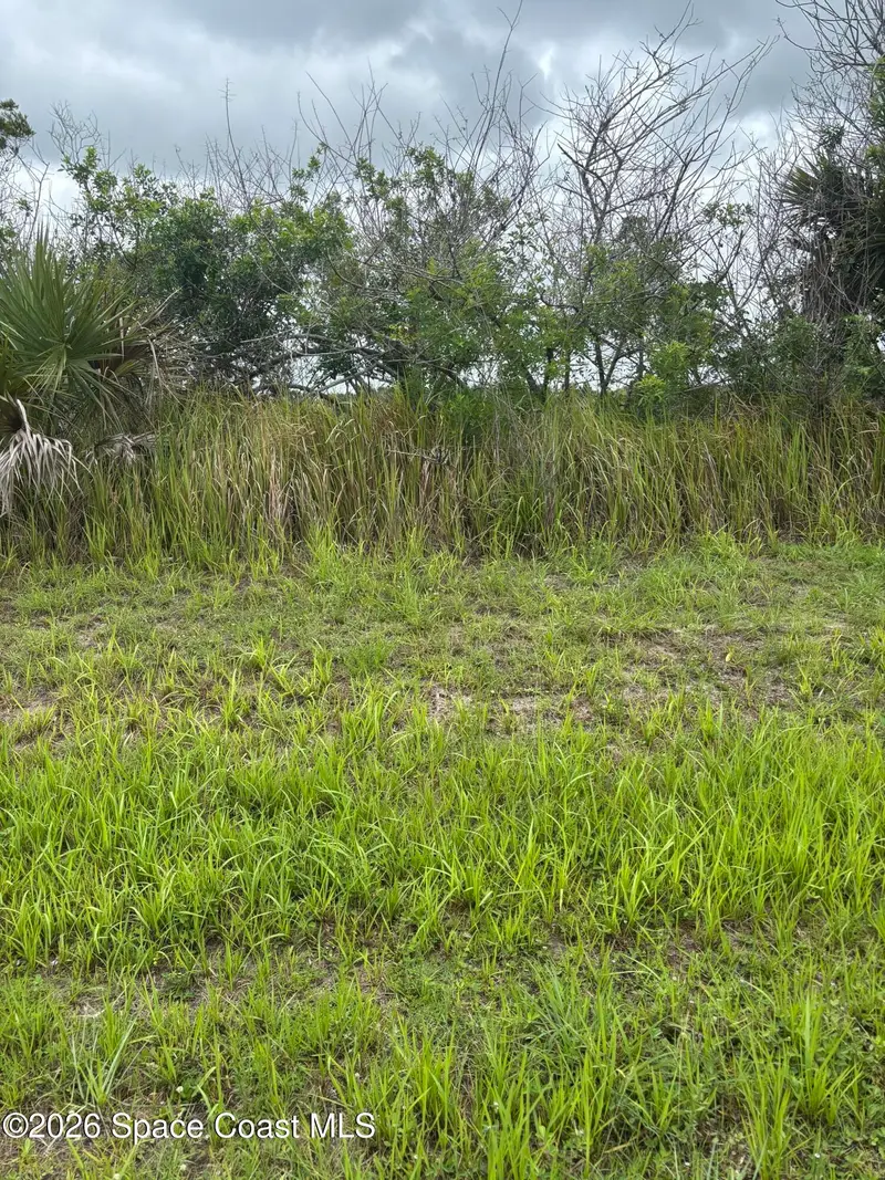 2387 Sw Tarboro Terrace Sw, Palm Bay, Fl 32908, FL