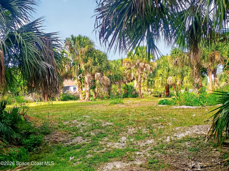 2859 Basil Avenue Sw, Palm Bay, Fl 32908, FL
