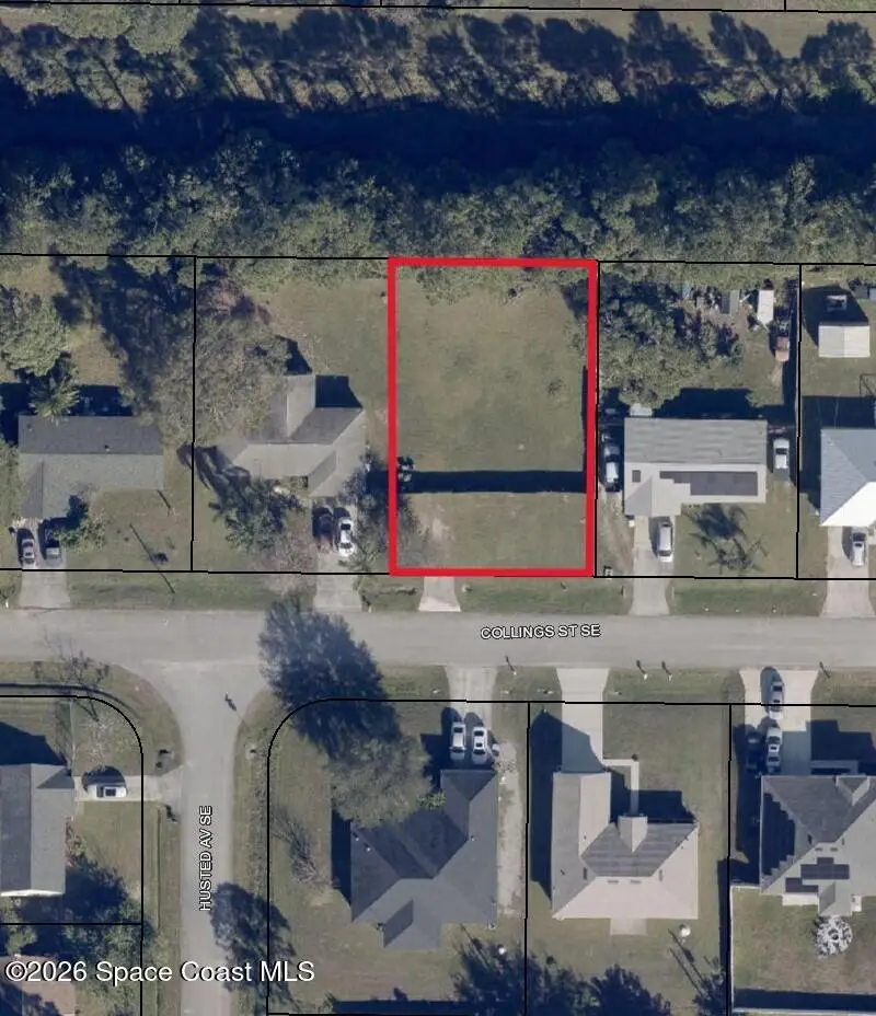 Tbd Collings Street Se, Palm Bay, Fl 32909, FL