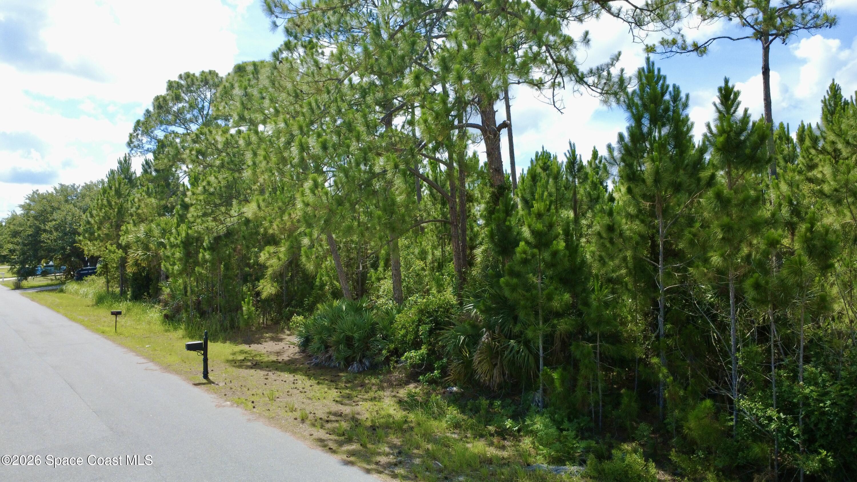 455 Dadeville Street Se, Palm Bay, Fl 32909, FL