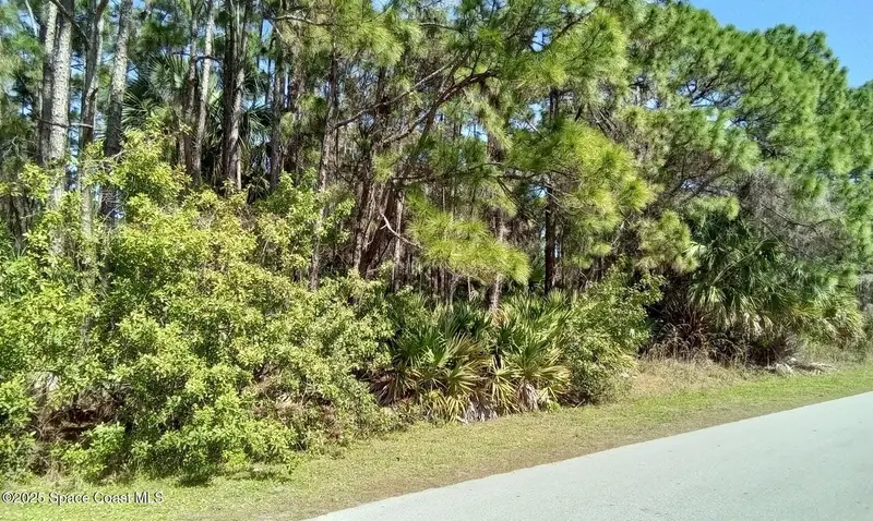 473 Galhouse Street Sw, Palm Bay, Fl 32908, FL