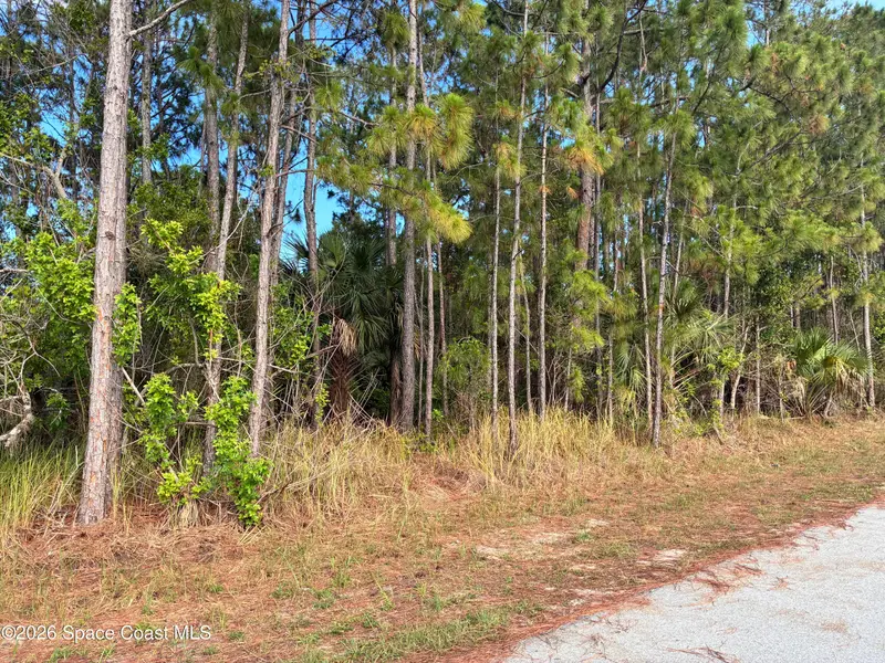 0 Se Ulster/Union Street Se, Palm Bay, Fl 32909, FL