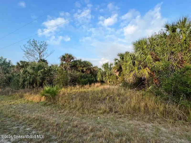 2044 Alwar Avenue Sw, Palm Bay, Fl 32908, FL
