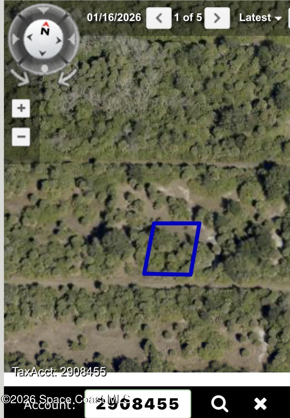 719 Sw Steward Street Sw, Palm Bay, Fl 32908, FL