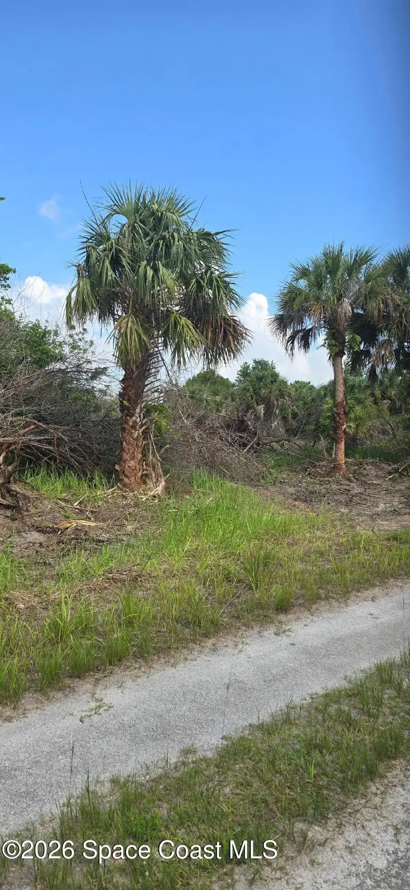 703 Dirckson Street, Palm Bay, Fl 32908, FL