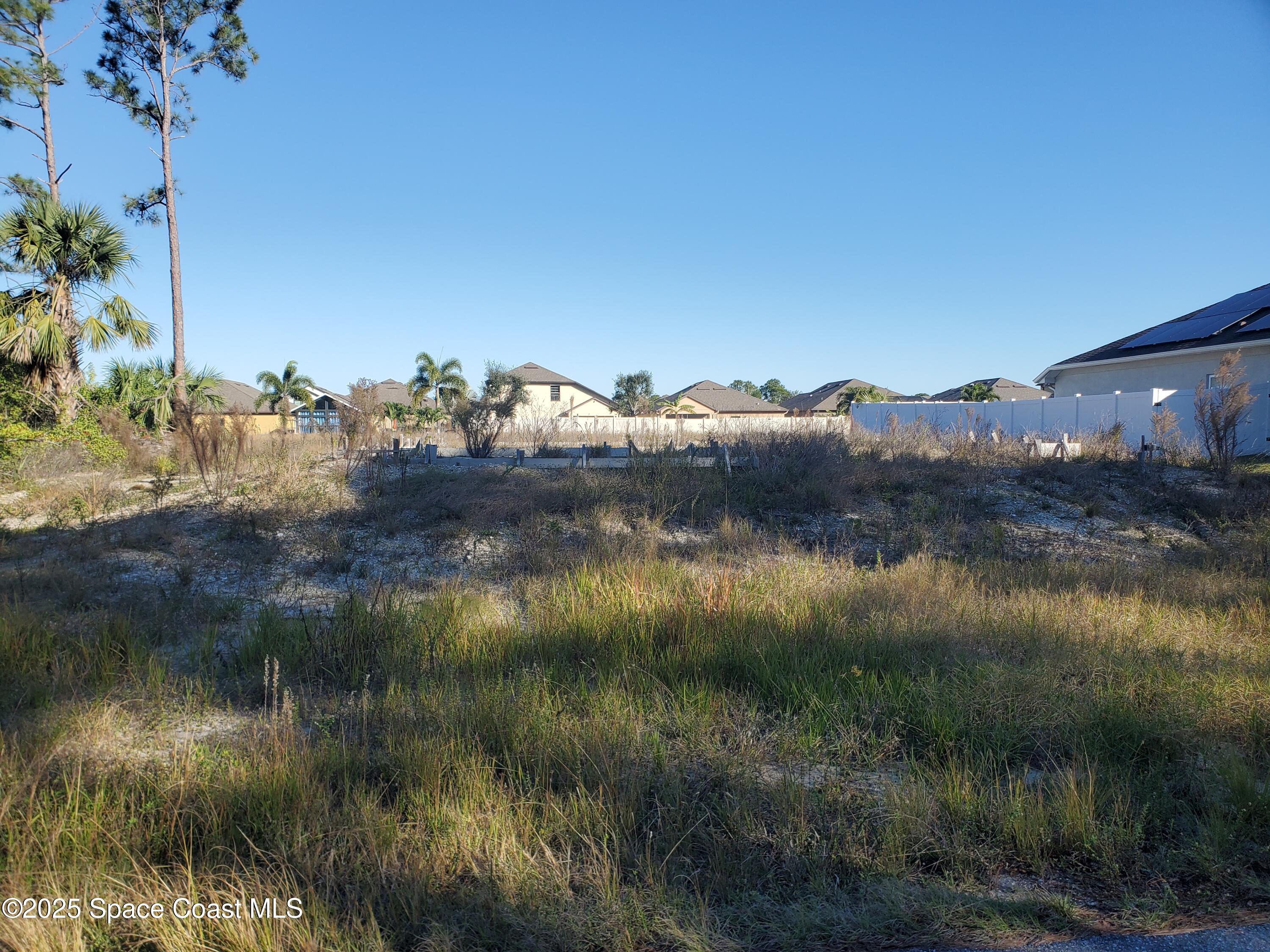 461 Paigo Street Se, Palm Bay, Fl 32909, FL