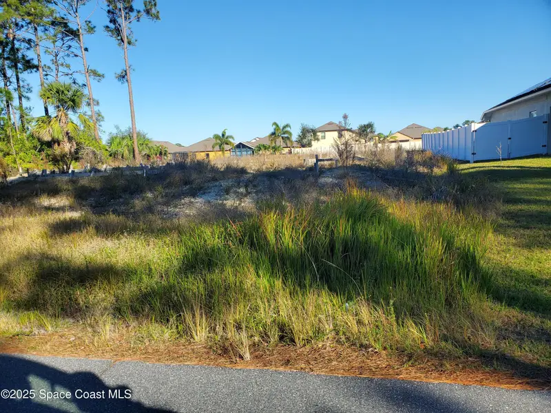 461 Paigo Street Se, Palm Bay, Fl 32909, FL