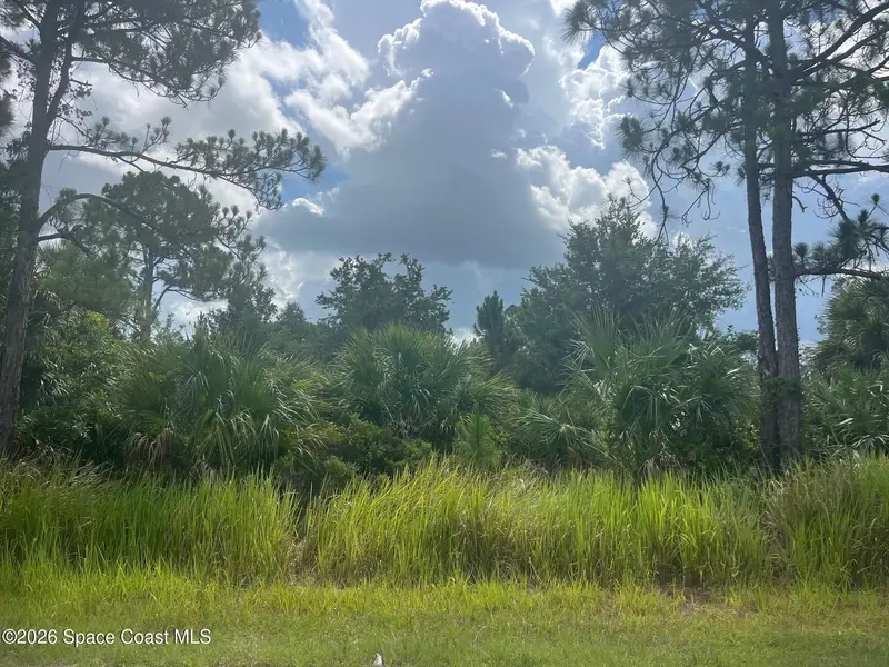 541 Windswept Avenue Sw, Palm Bay, Fl 32908, FL